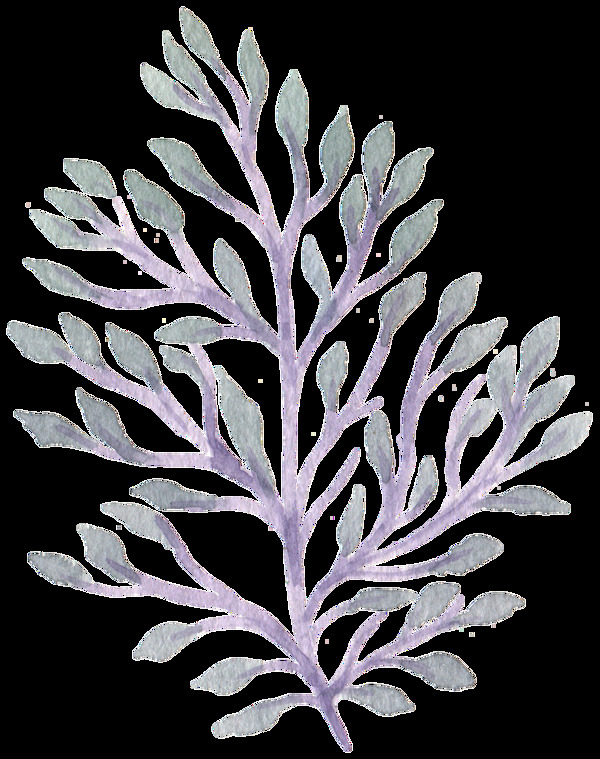 姹紫树枝卡通透明装饰素材
