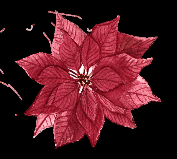 红色枫叶花卉免抠图素材