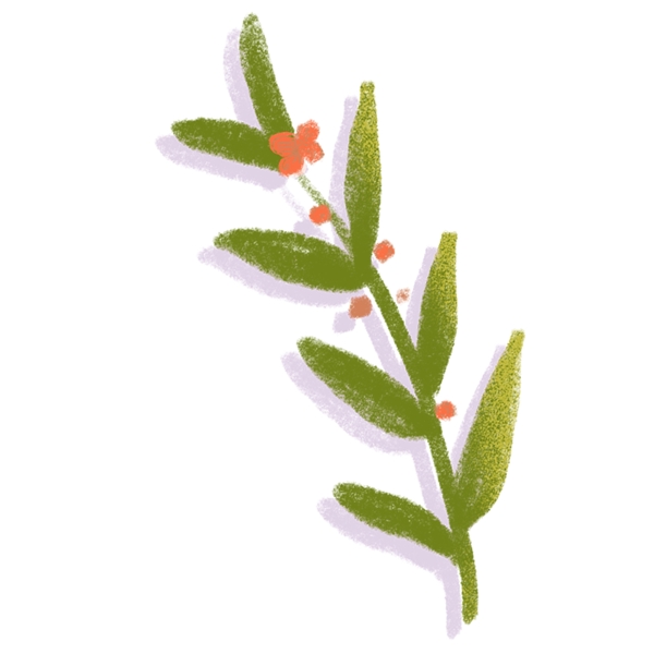 水彩绿叶花朵插画