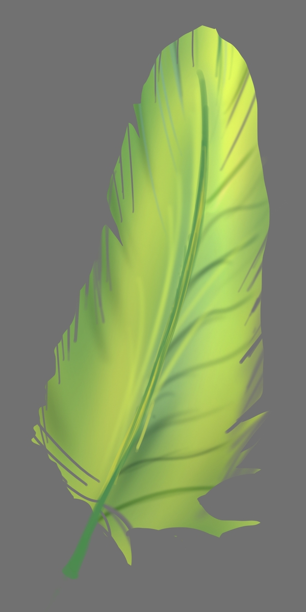 绿色漂浮羽毛