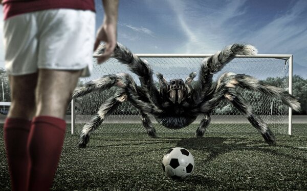 足球射门蜘蛛图片