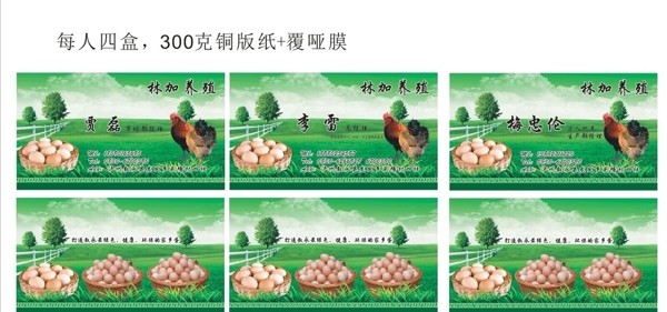 鸡蛋养殖名片图片