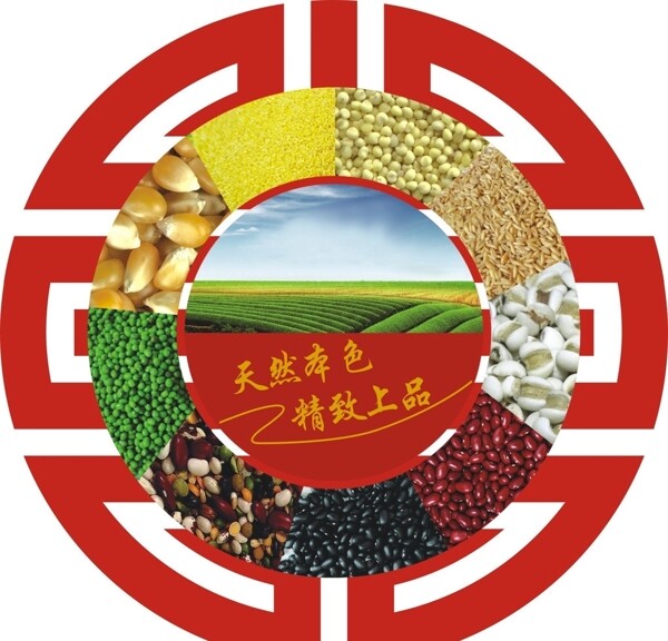 五谷杂粮标志图片