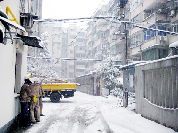 雪中情图片