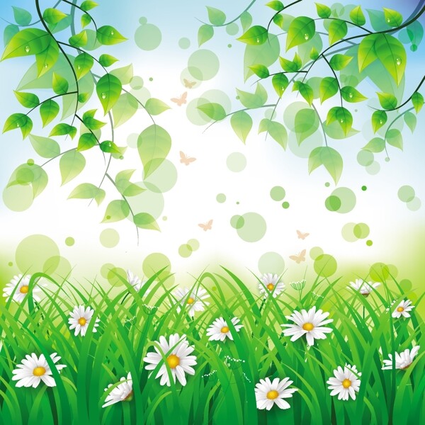 春日阳光治愈系花朵图片