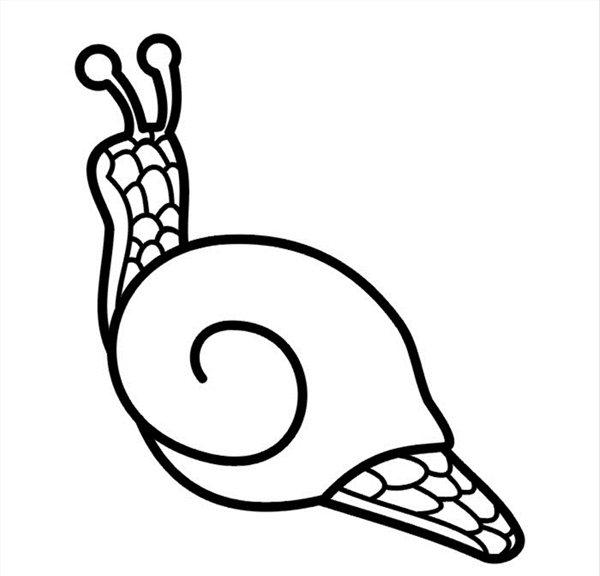 蜗牛CDR矢量图图片
