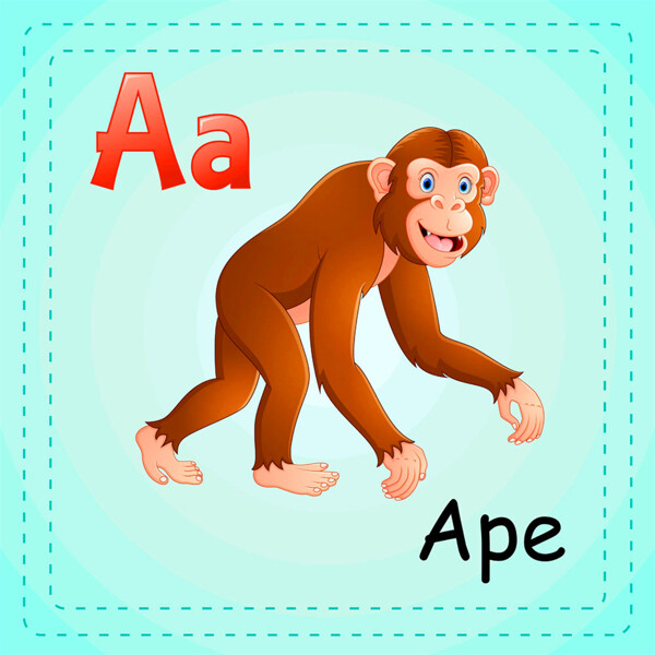 猴子英语单词图片