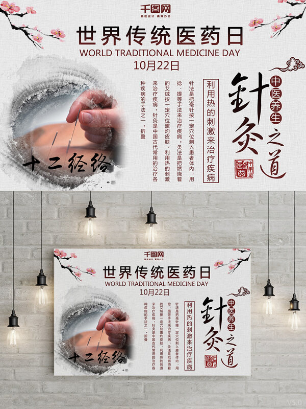 世界传统医药日中医针灸养生宣传海报