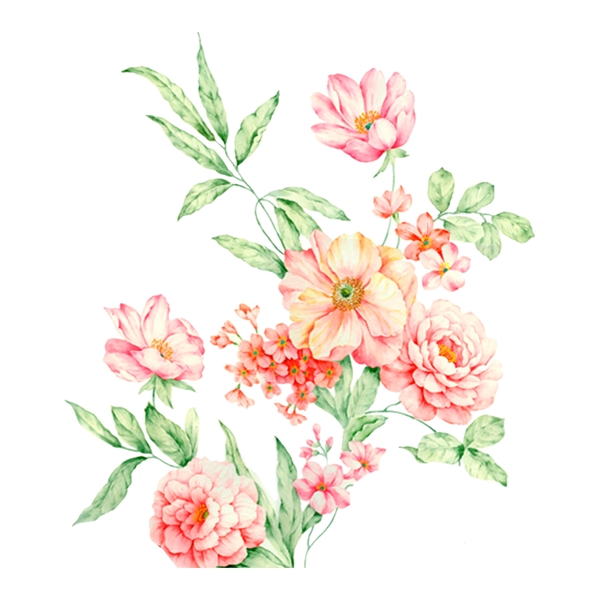 手绘水彩花卉卡通透明素材