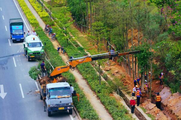 交通建设道路绿化