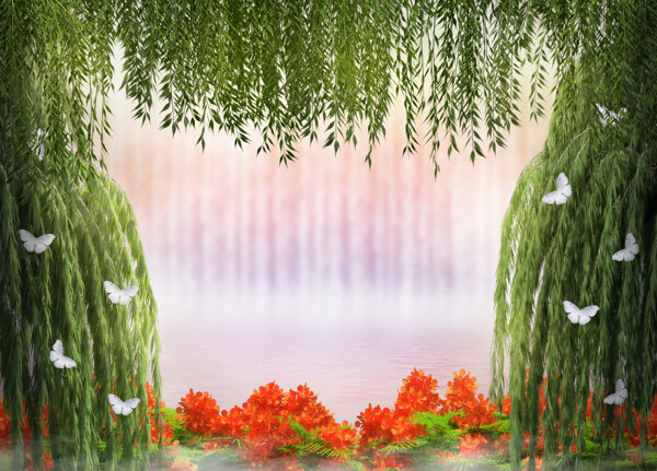 柳树蝴蝶鲜花背景图片