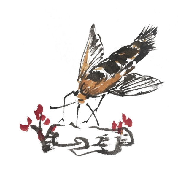 中国风水墨昆虫手绘插画