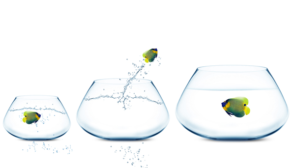 三个玻璃鱼缸与跳跃的鱼