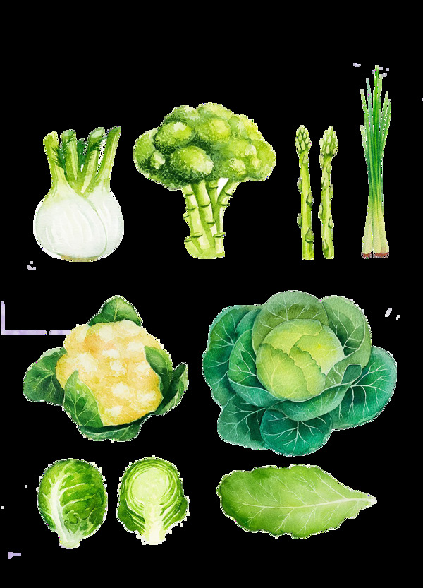 手绘绿色蔬菜
