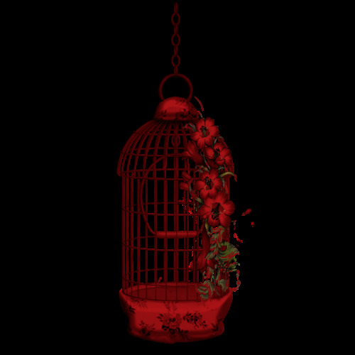 美丽高级红色鸟笼装饰元素