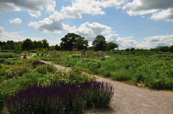 英国Wisley花园图片