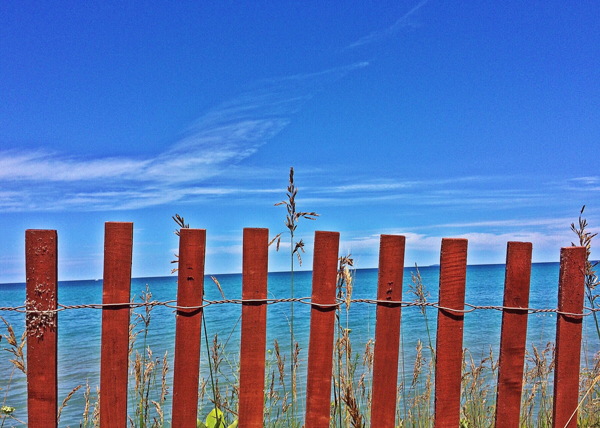 海边篱笆图片