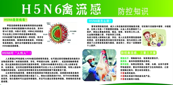 H5N6禽流感防治知识