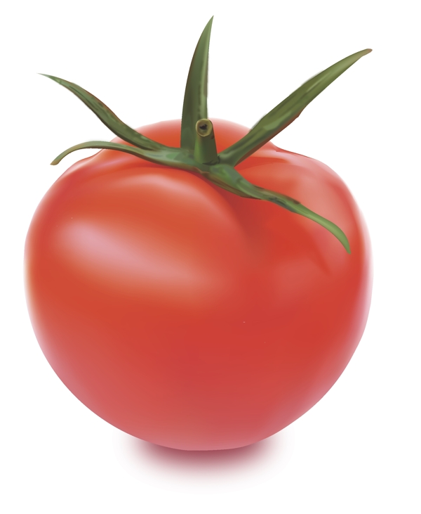 西红柿AI画的西红柿