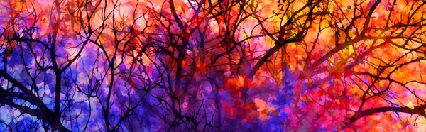 抽象树枝艺术画框