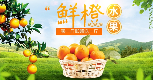 淘宝京东水果海报