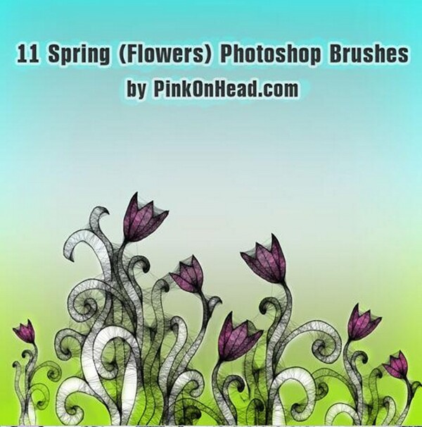 11款春季手绘花纹花卉PS笔刷