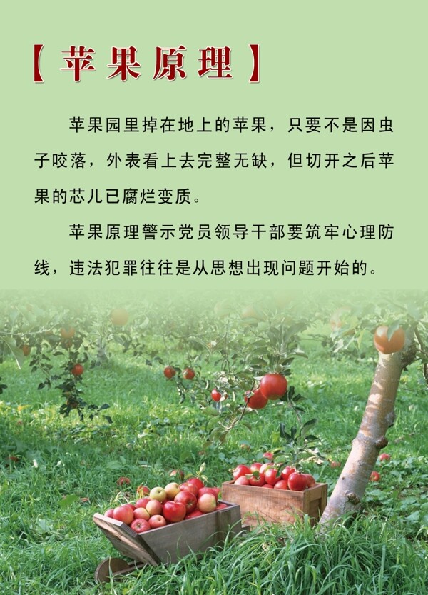 苹果原理图片