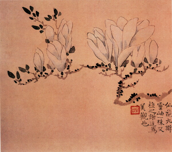 花卉图b花鸟画中国古画0468