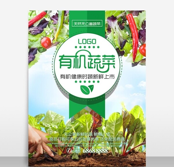 无公害有机蔬菜新鲜上市海报模板