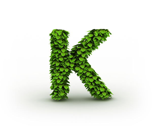 绿叶立体字母k