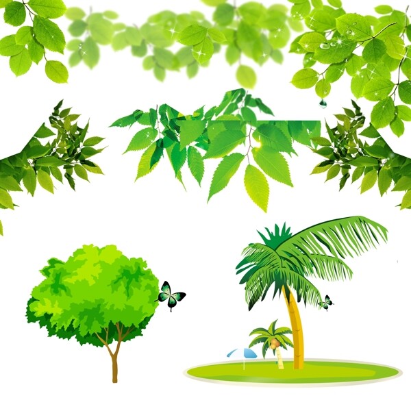 绿色树叶椰子树图片