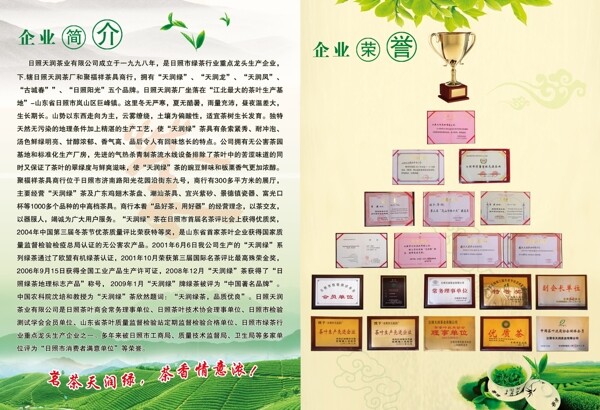 茶叶企业简介和荣誉图片
