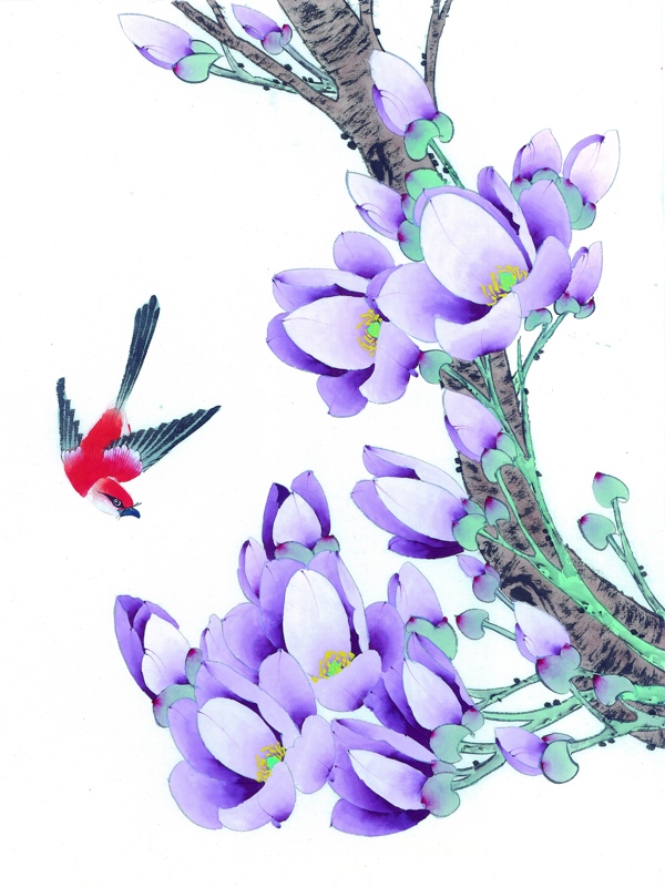 紫色花卉与鸟图片