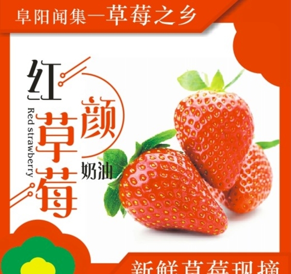 草莓主图图片