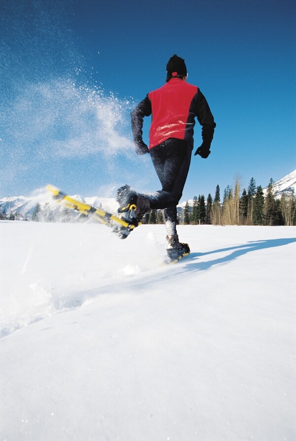 雪地上的滑雪运动员图片