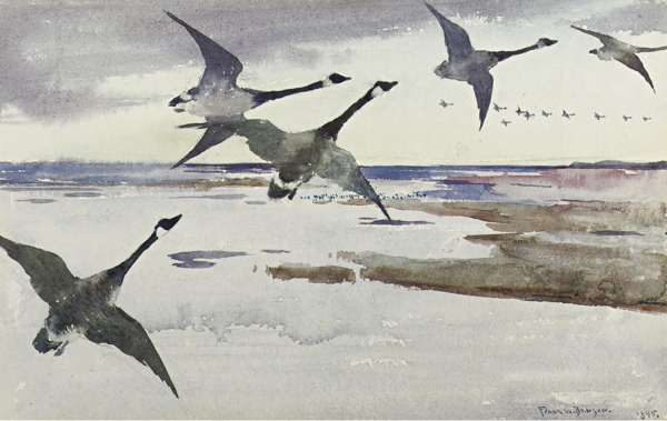 FrankWestonBensonCanadianGeese1895画家风景画静物油画建筑油画装饰画