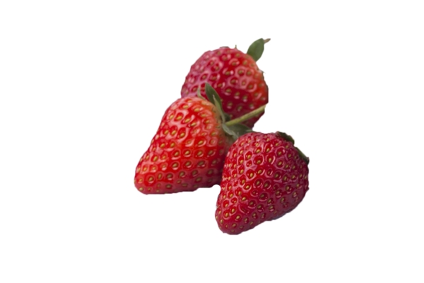 好吃美味营养草莓健康