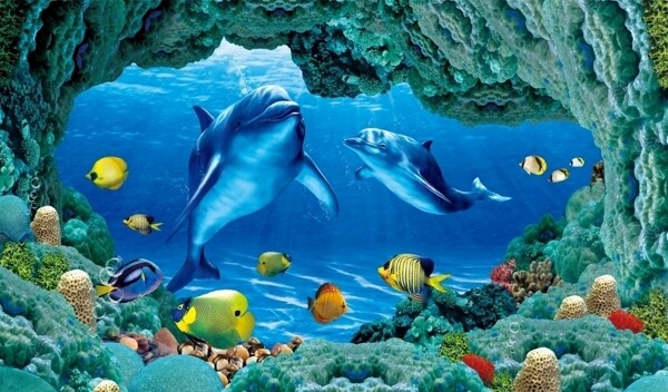 海豚儿童可爱蓝色