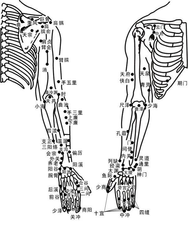 上肢穴位图图片