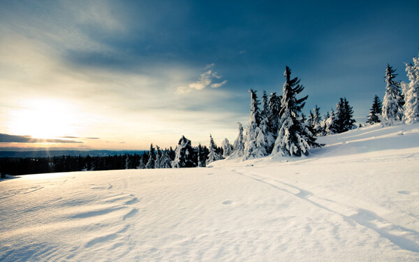 阳光下的雪景图片