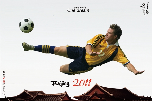 北京2011足球图片
