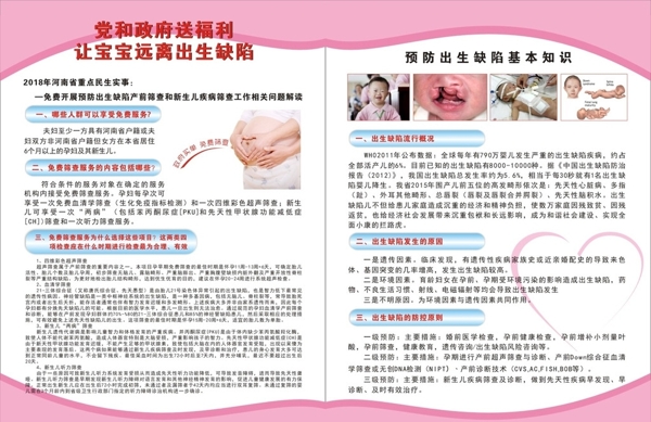 预防出生缺陷基本知识