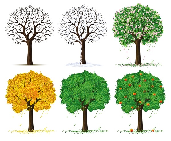 四季的树木矢量素材下载