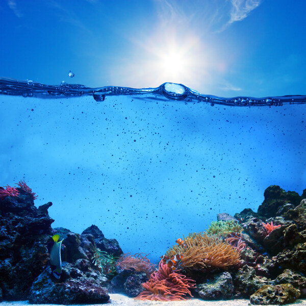 海水和海底风景图片