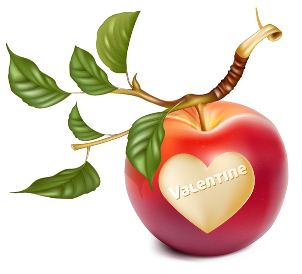 浪漫的心形苹果和樱桃矢量素材
