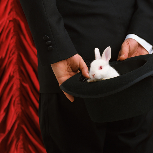 魔术帽里的兔子图片