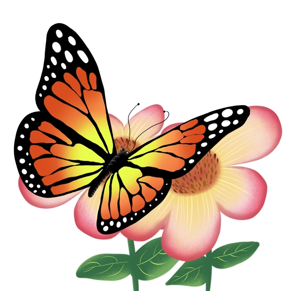 中国风手绘蝴蝶插画分层昆虫可商用元素