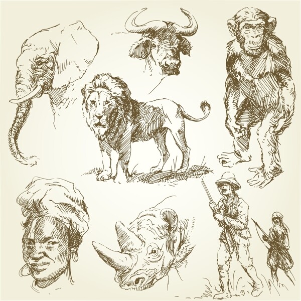 手绘动物野生动物手绘素描美术绘画