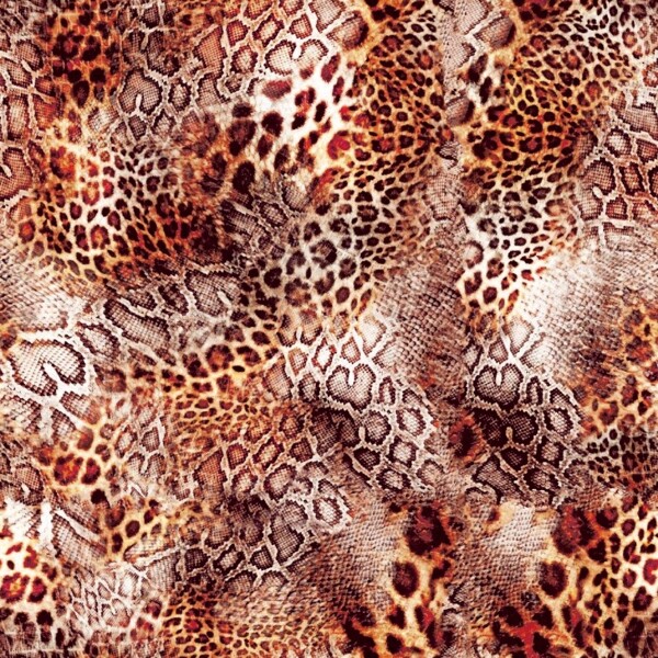 豹纹蛇皮图片