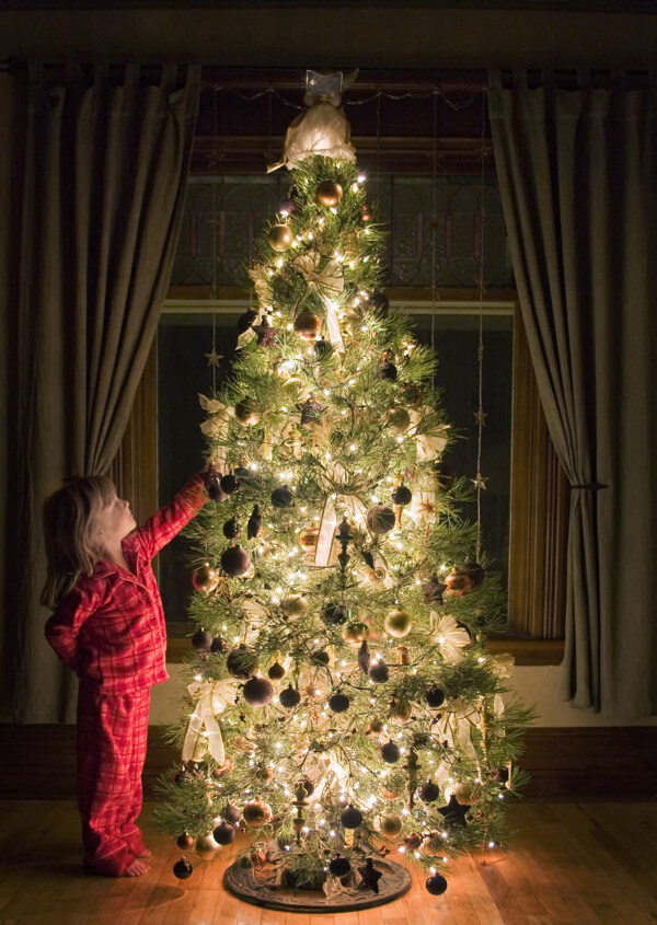 小女孩与圣诞树图片